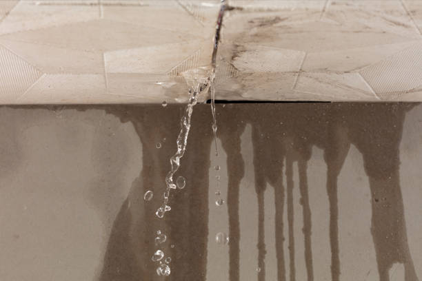 Professional Structural Drying technician working in Palmyra, MI
